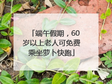 端午假期，60岁以上老人可免费乘坐萝卜快跑