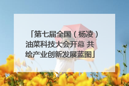 第七届全国（杨凌）油菜科技大会开幕 共绘产业创新发展蓝图