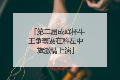 第二届成峰杯牛王争霸赛在科左中旗激情上演