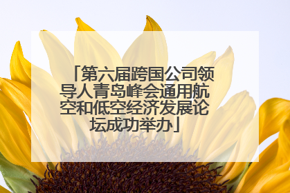 第六届跨国公司领导人青岛峰会通用航空和低空经济发展论坛成功举办