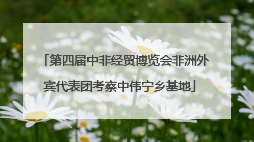 第四届中非经贸博览会非洲外宾代表团考察中伟宁乡基地