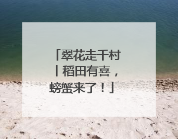 翠花走千村丨稻田有喜，螃蟹来了！