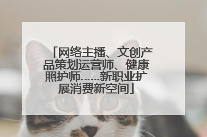 网络主播、文创产品策划运营师、健康照护师……新职业扩展消费新空间