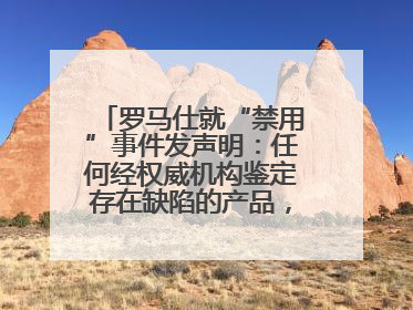 罗马仕就“禁用”事件发声明：任何经权威机构鉴定存在缺陷的产品，将依法负全责