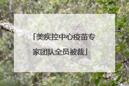 美疾控中心疫苗专家团队全员被裁