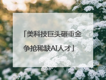 美科技巨头砸重金争抢稀缺AI人才