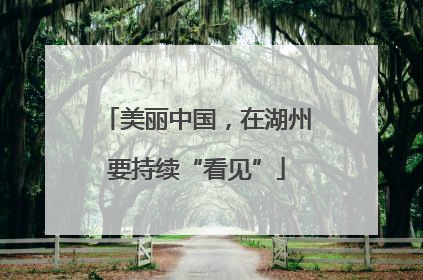 美丽中国，在湖州要持续“看见”