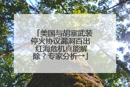 美国与胡塞武装停火协议漏洞百出 红海危机真能解除？专家分析→