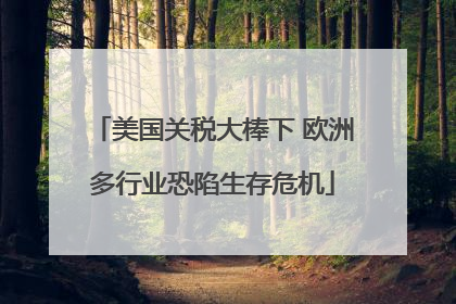 美国关税大棒下 欧洲多行业恐陷生存危机