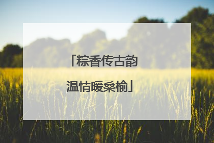粽香传古韵 温情暖桑榆