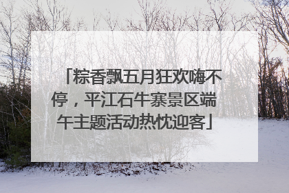 粽香飘五月狂欢嗨不停，平江石牛寨景区端午主题活动热忱迎客