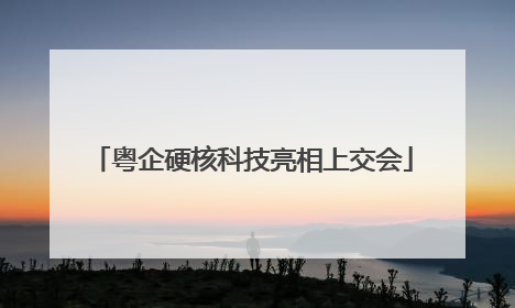 粤企硬核科技亮相上交会