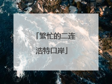 繁忙的二连浩特口岸
