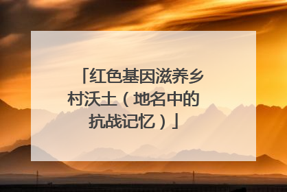 红色基因滋养乡村沃土（地名中的抗战记忆）