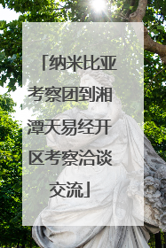 纳米比亚考察团到湘潭天易经开区考察洽谈交流
