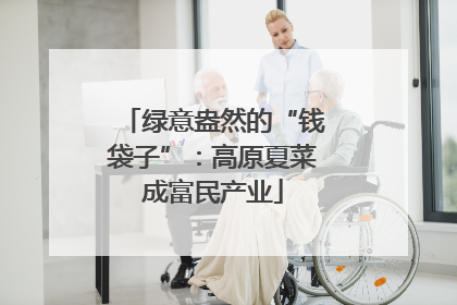 绿意盎然的“钱袋子”：高原夏菜成富民产业