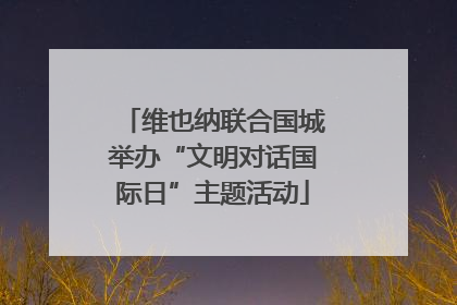 维也纳联合国城举办“文明对话国际日”主题活动