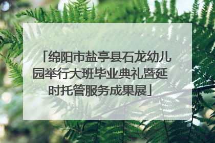 绵阳市盐亭县石龙幼儿园举行大班毕业典礼暨延时托管服务成果展