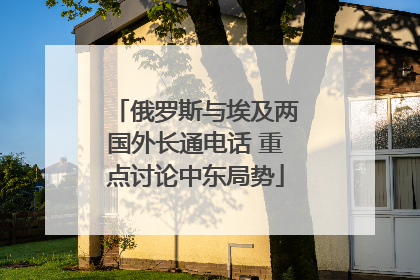 俄罗斯与埃及两国外长通电话 重点讨论中东局势