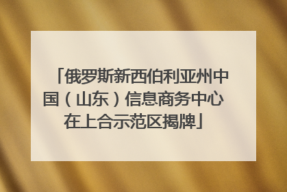 俄罗斯新西伯利亚州中国（山东）信息商务中心在上合示范区揭牌