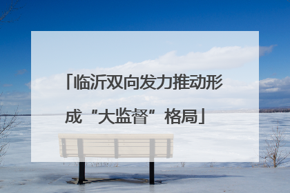 临沂双向发力推动形成“大监督”格局
