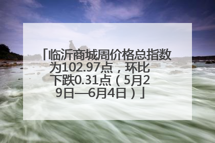 临沂商城周价格总指数为102.97点，环比下跌0.31点（5月29日—6月4日）
