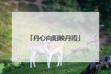 丹心向阳映丹霞