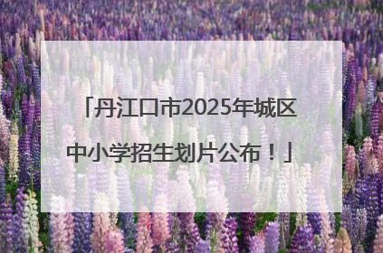 丹江口市2025年城区中小学招生划片公布！