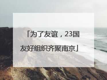 为了友谊，23国友好组织齐聚南京