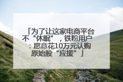为了让这家电商平台不“休眠”，铁粉用户：愿意花10万元认购原始股“应援”