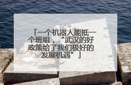 一个机器人能抵一个班组，“武汉的好政策给了我们极好的发展机遇”
