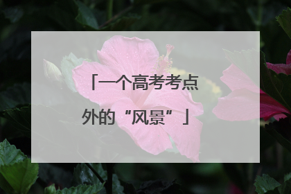 一个高考考点外的“风景”