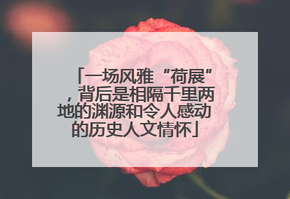 一场风雅“荷展”，背后是相隔千里两地的渊源和令人感动的历史人文情怀