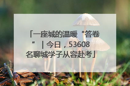 一座城的温暖“答卷”｜今日，53608名聊城学子从容赴考