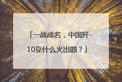 一战成名，中国歼-10靠什么火出圈？
