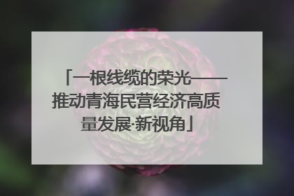 一根线缆的荣光——推动青海民营经济高质量发展·新视角
