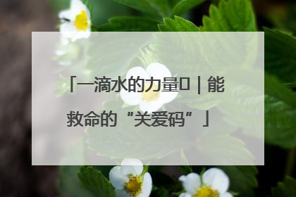 一滴水的力量㉖｜能救命的“关爱码”