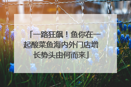 一路狂飙！鱼你在一起酸菜鱼海内外门店增长势头由何而来
