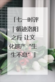 七一时评｜循迹洛阳之行 让文化遗产“生生不息”