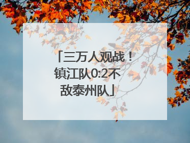 三万人观战！镇江队0:2不敌泰州队