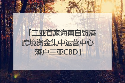 三亚首家海南自贸港跨境资金集中运营中心落户三亚CBD