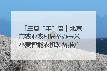 三夏“丰”景｜北京市农业农村局举办玉米小麦智能农机装备推广“田间日”活动