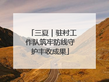 三夏｜驻村工作队筑牢防线守护丰收成果