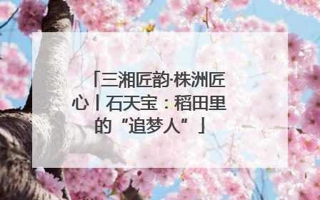 三湘匠韵·株洲匠心丨石天宝：稻田里的“追梦人”
