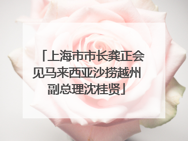 上海市市长龚正会见马来西亚沙捞越州副总理沈桂贤