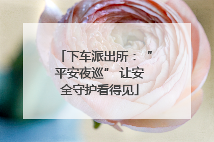 下车派出所：“平安夜巡” 让安全守护看得见