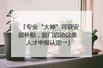 专业“大神”可获安居补贴，厦门启动这类人才申报认定→