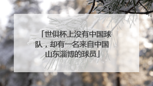 世俱杯上没有中国球队，却有一名来自中国山东淄博的球员