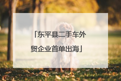 东平县二手车外贸企业首单出海