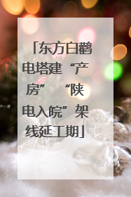东方白鹳电塔建“产房” “陕电入皖”架线延工期